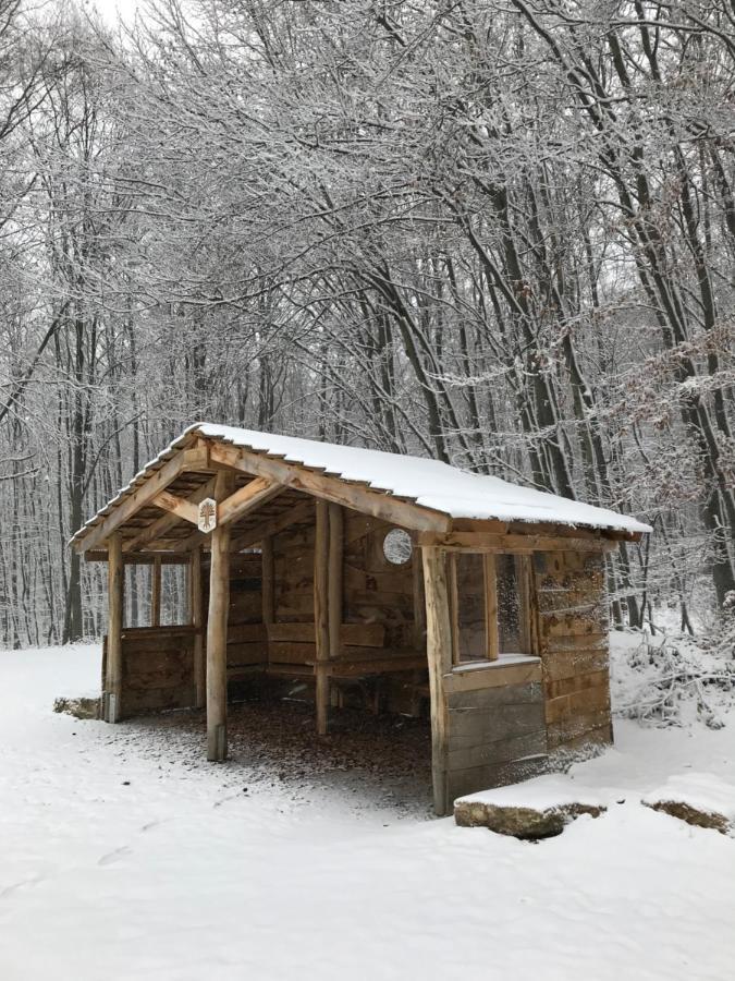 Ferienwohnung Auszeit Am Kurpark Bad Berka - Balkon - Ruhige Lage- Gratis Parkplatz & Wlan 외부 사진